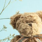 STEM Toys - Adorable little teddy bear stuffed bear with tied bow with Gypsophila branches against blue background
