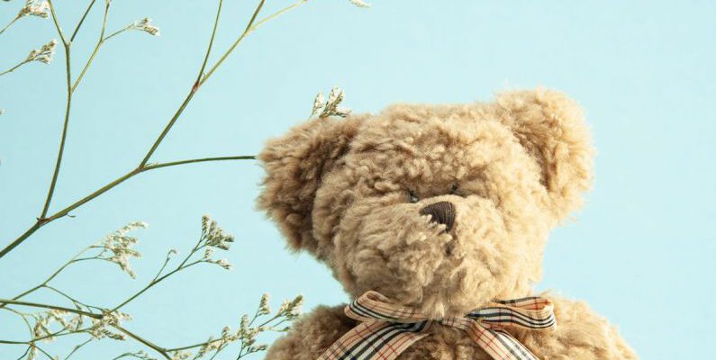 STEM Toys - Adorable little teddy bear stuffed bear with tied bow with Gypsophila branches against blue background